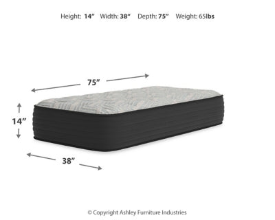 Palisades Plush Twin Mattress