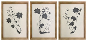 Huddwick Wall Art (Set of 3)