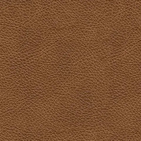 Carianna Loveseat