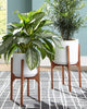 Jardinera Dorcey (juego de 2)
