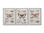 Jossletts Wall Art (Set of 3)