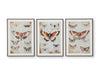 Jossletts Wall Art (Set of 3)
