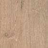 Cielden King Panel Bed