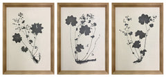 Huddwick Wall Art (Set of 3)