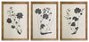 Huddwick Wall Art (Set of 3)