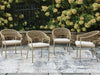 Ocean Park Outdoor Arm Chair with Cushion (Set of 4)