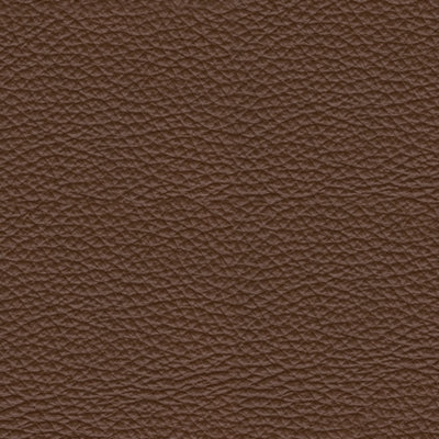 Sillón reclinable eléctrico VonRyan