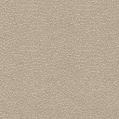 Sillón reclinable eléctrico Pisgham