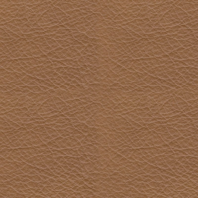 Sillón reclinable eléctrico Tryanny